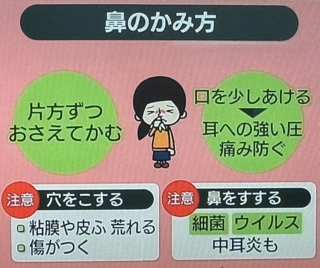 鼻のかみ方