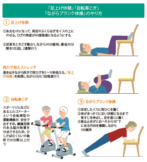 脊椎館狭窄症の改善体操