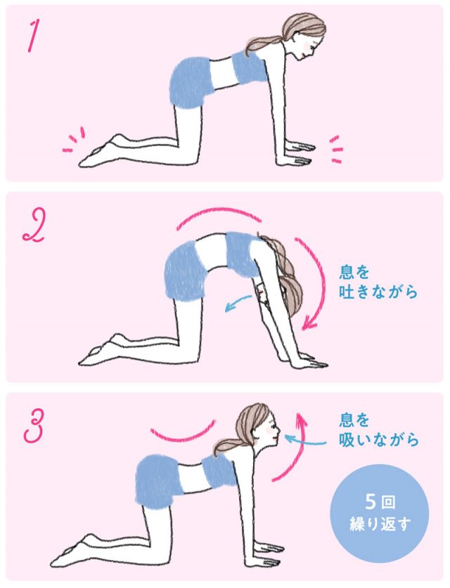 キャットキャメル