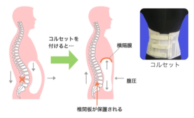 コルセットを付けると!