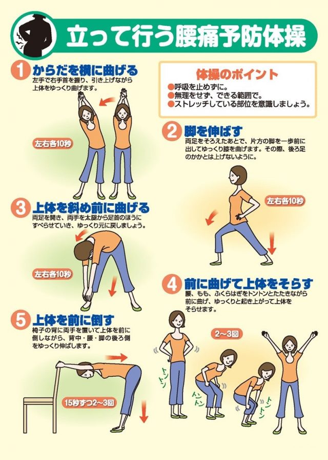 腰痛予防体操