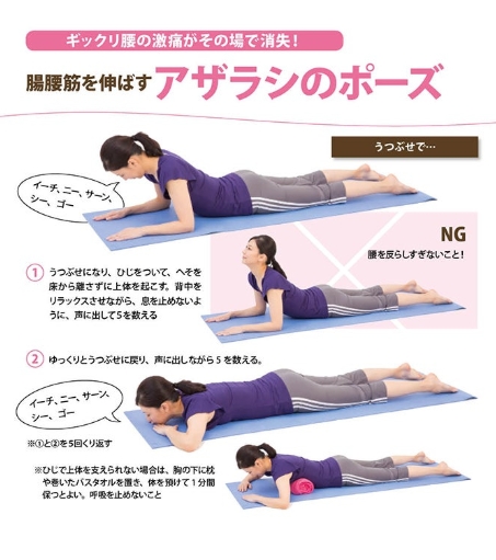 アザラシのポーズ
