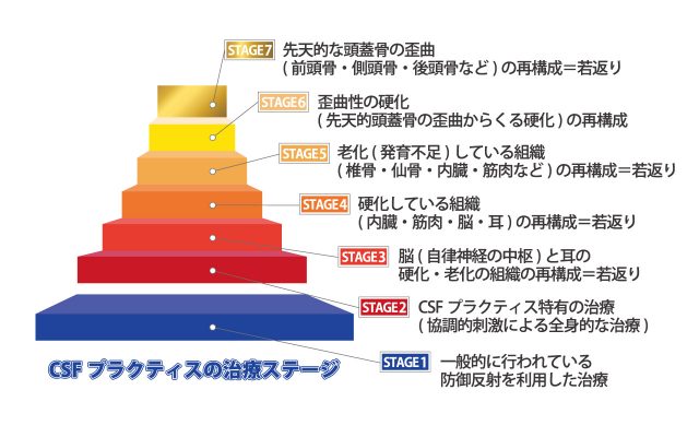 CSFプラクティス(脳脊髄液調整法)の治療ステージ