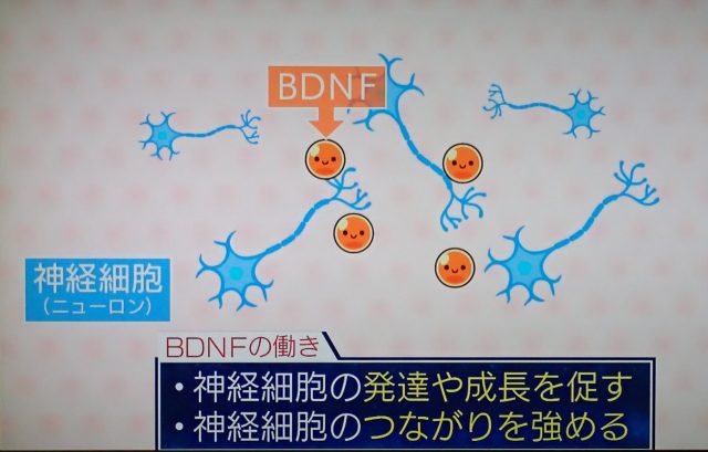 BDFN