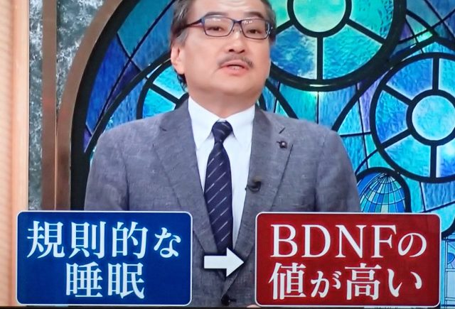 規則的な睡眠⇒BDFNの値が高い