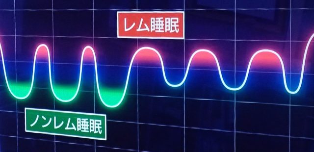 ちょっとした工夫で自然と噛む回数UP