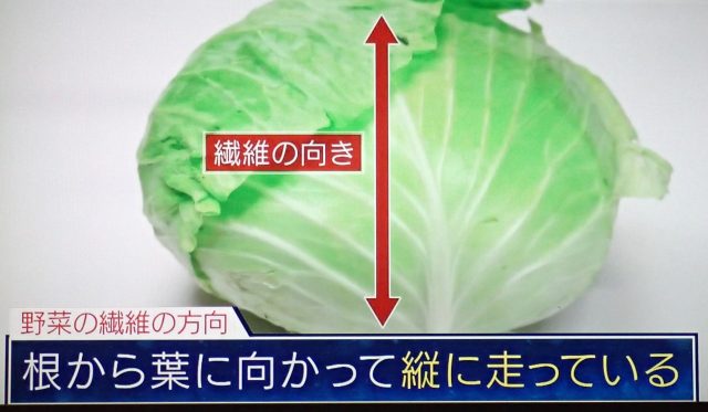 野菜は繊維に沿って切る